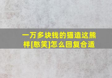 一万多块钱的猫造这熊样[憨笑]怎么回复合适